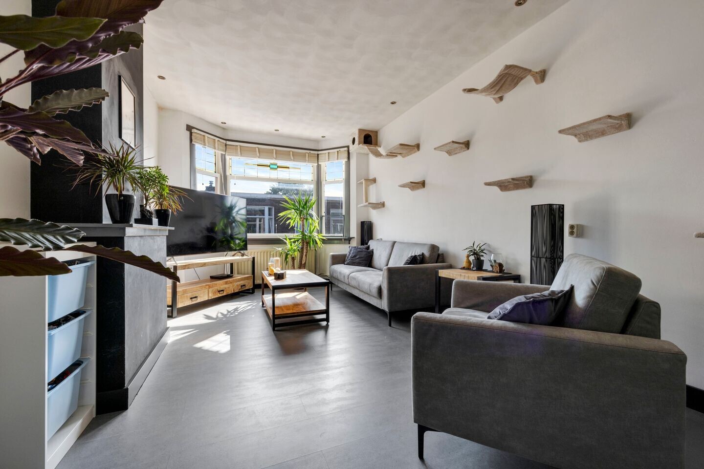 Appartement te koop: Drijfriemstraat 3B, 'S-Gravenhage