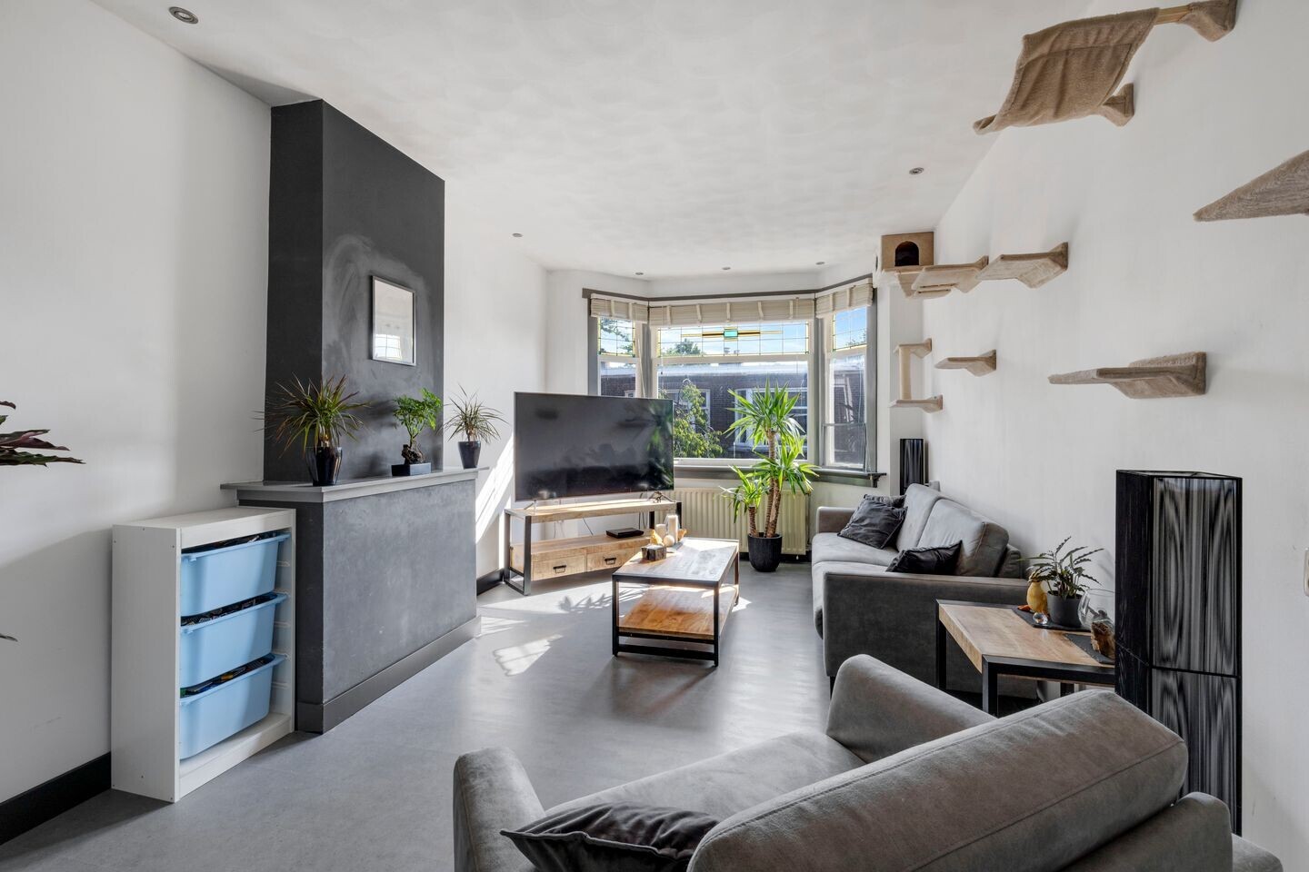 Appartement te koop: Drijfriemstraat 3B, 'S-Gravenhage