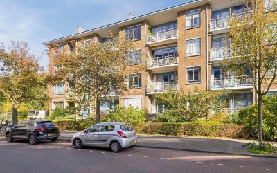 Stadhoudersplantsoen 196