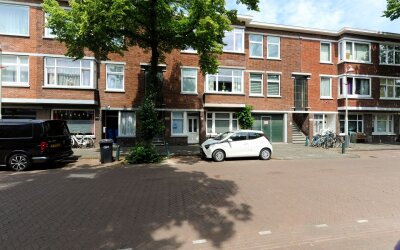 Linnaeusstr. 213