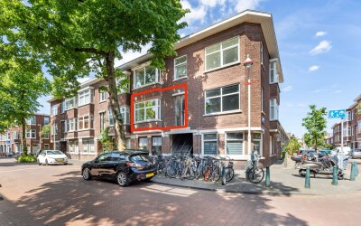 Linnaeusstraat 245