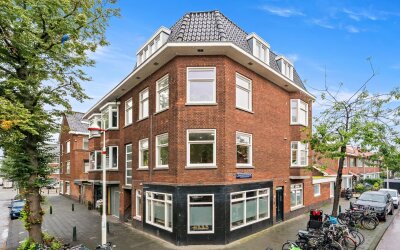Linnaeusstraat 295