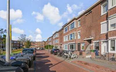 Damasstraat 213