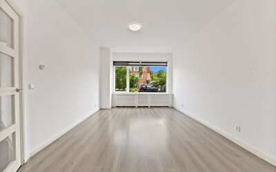 Damasstraat 241