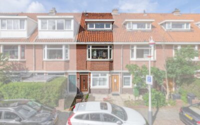 Johan Gramstraat 87