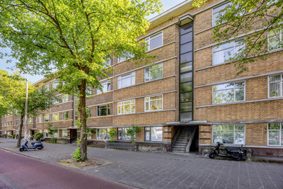 Troelstrakade 231