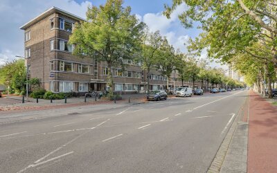 Troelstrakade 433