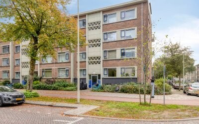 Steenwijklaan 272