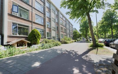 Steenwijkla. 298