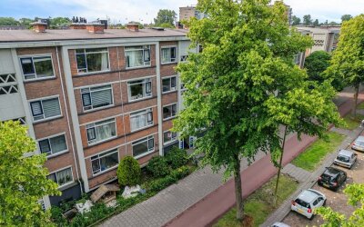 Steenwijkla. 302