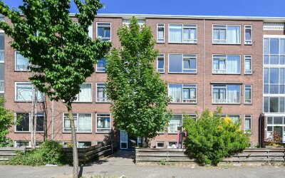 Wantsnijder. 481
