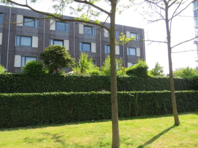 Vrederustla. 303