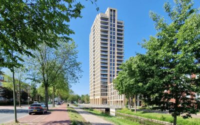 Randveen 556