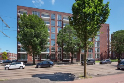 Dedemsvaart. 212