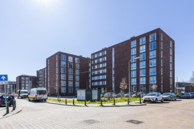 Dedemsvaart. 264