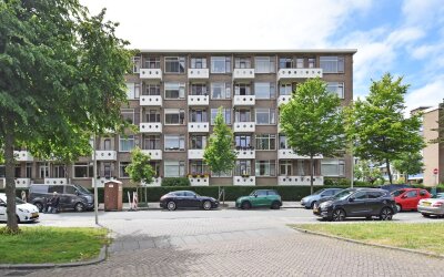 Willem Pijp. 20