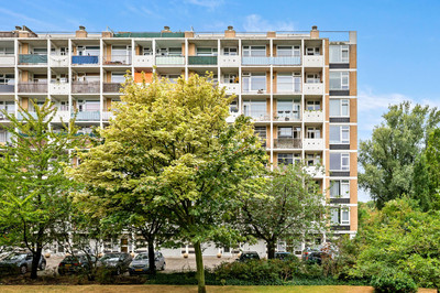 Louis Davidsstraat 505