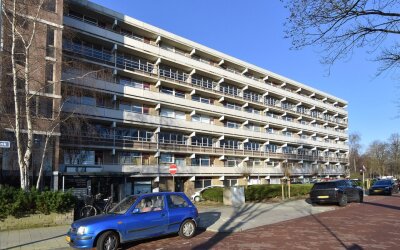De Brink 768