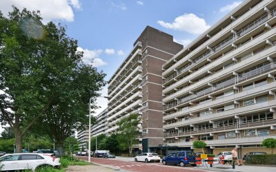 De Brink 978