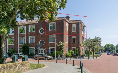 Aronskelkweg 272