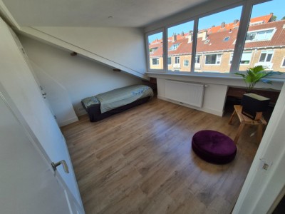 Lupineweg 44
