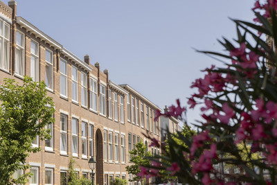 Halleystraat 15