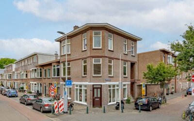 Hortensiast. 211