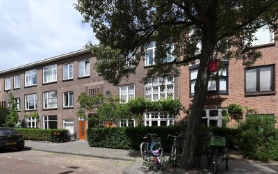 Ligusterstr. 61
