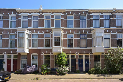 Buijs Ballotstraat 38