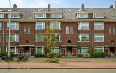 Thorbeckela. 310