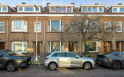Tomatenstraat 244