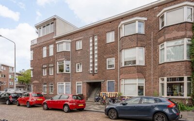 Vlierboomst. 304