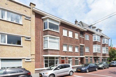 Vlierboomst. 273