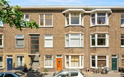 Vlierboomst. 363