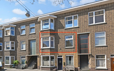 Vlierboomst. 367