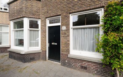 Vlierboomst. 387