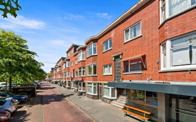 Vlierboomst. 443