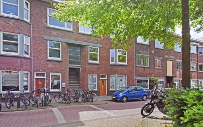 Vlierboomst. 424