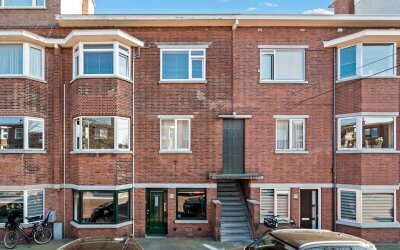 Vlierboomst. 464