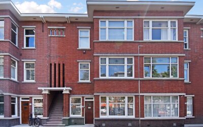 Vlierboomst. 634