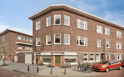 Goudreinetstraat 163
