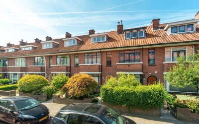 Goudreinetstraat 580