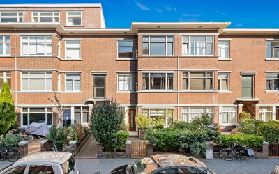 Pippelingstraat 95