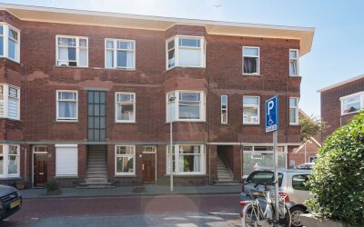Pippelingstraat 60
