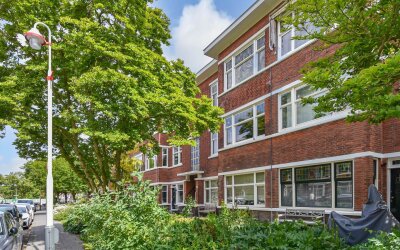 Abrikozenstraat 41