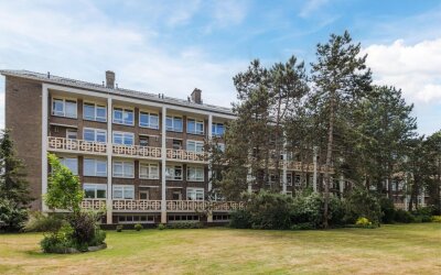 Ridderspoor. 228