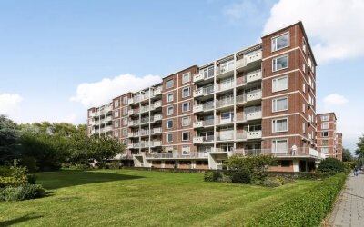 Ranonkelstraat 267