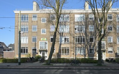 Goudenregen. 311