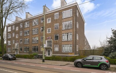 Goudenregen. 338