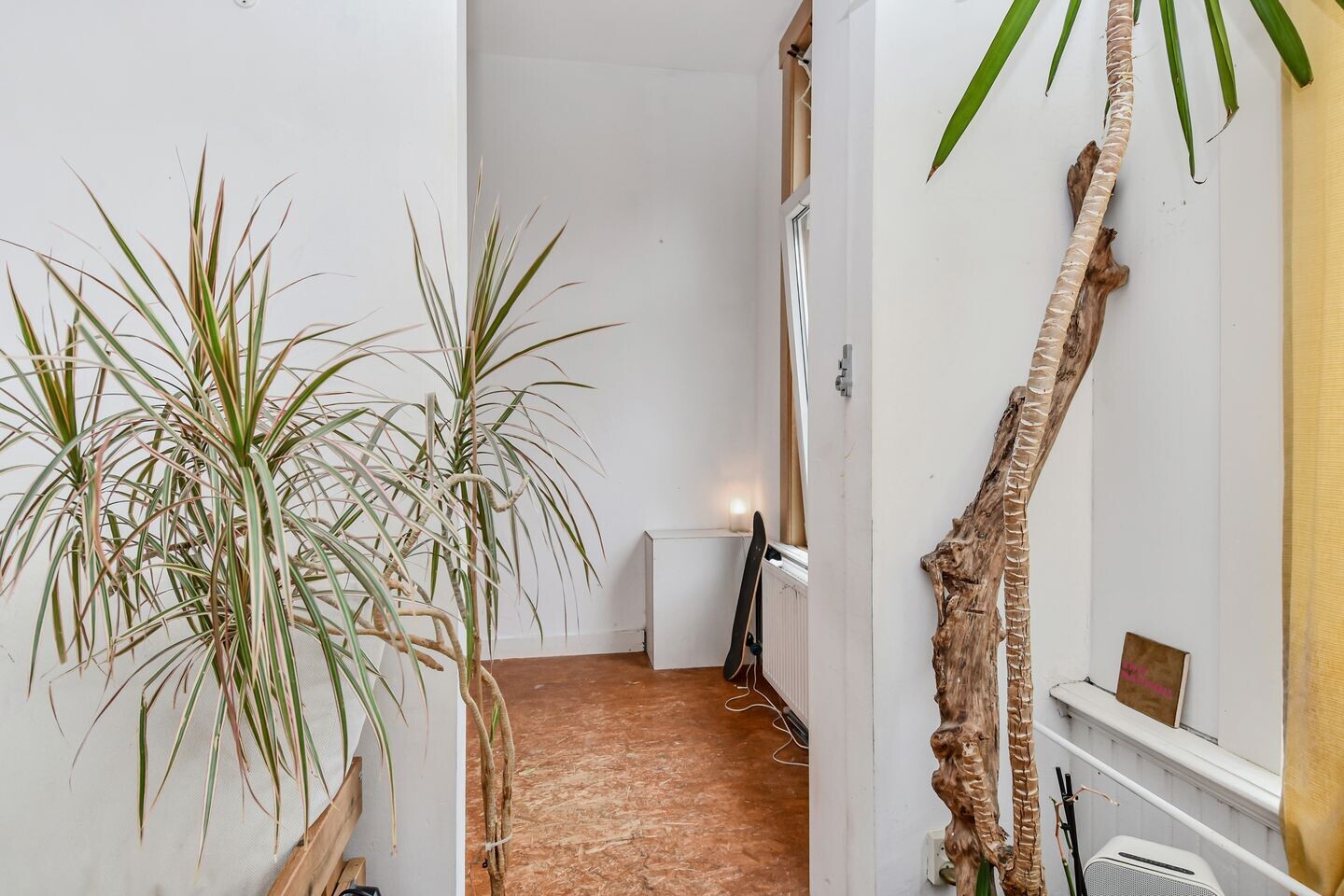 Appartement te koop: Acaciastraat 123, 'S-Gravenhage